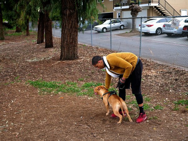 Aquariophilie : 10 astuces infaillibles pour un aquarium parfait